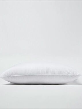 NWOT Plush Medium Down King Pillow - Retail $144